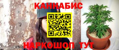эйфоретик Туймазы
