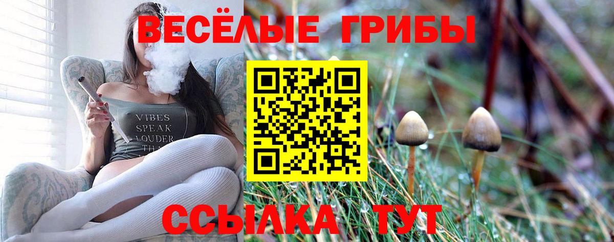 Большой Камень  Галлюциногенные грибы GOLDEN TEACHER  Галлюциногенные грибы Psilocybine cubensis  Вход с VPN 